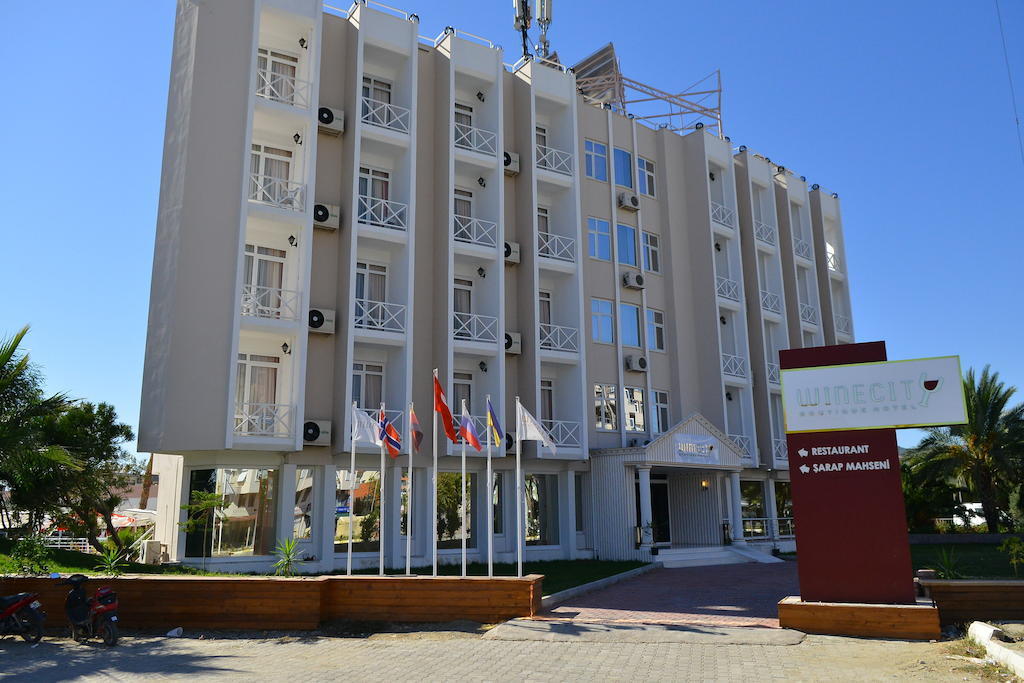 Winecity Hotel دمرة المظهر الخارجي الصورة